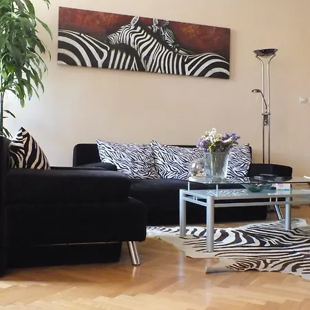 Zebra 크라쿠프